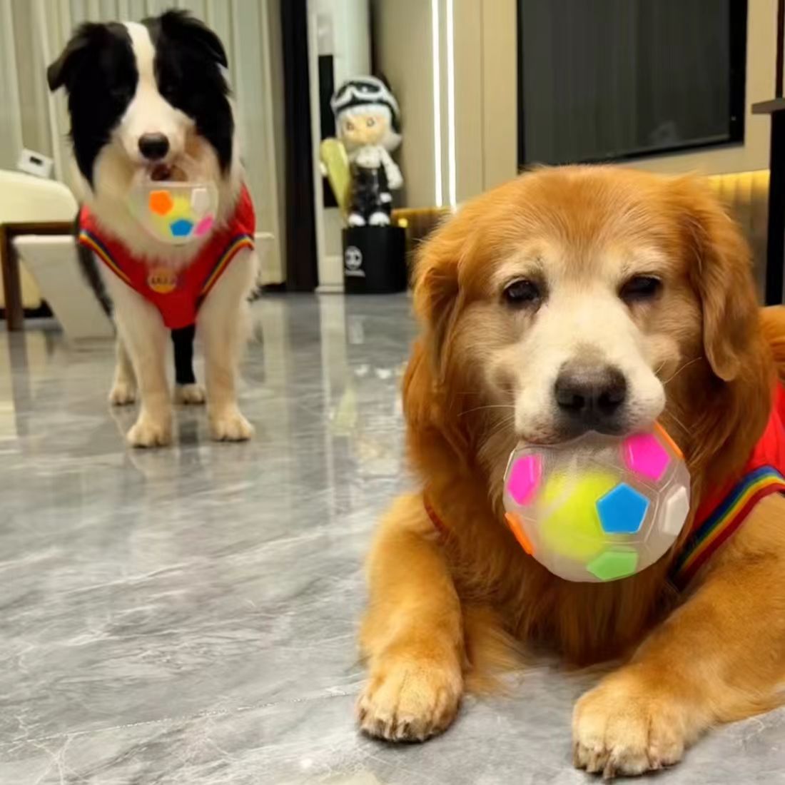 Dog interactive football toys