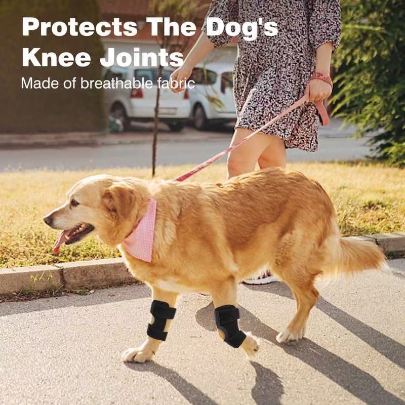 Black dog knee pads