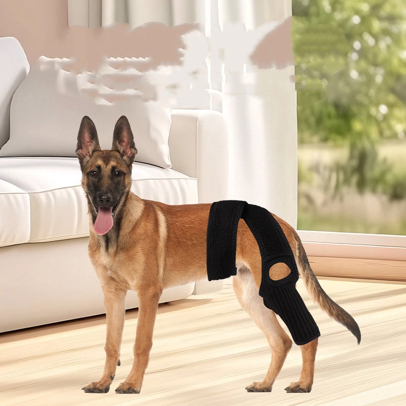 Single-piece canine joint protection gear
