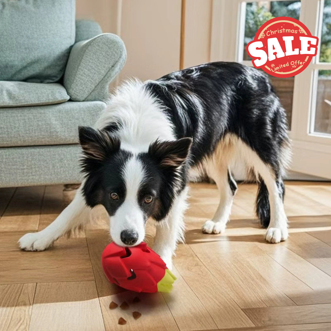 Red Pitaya Dog Toy