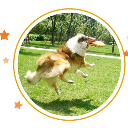 Orange Pet Outdoor Chew Frisbee