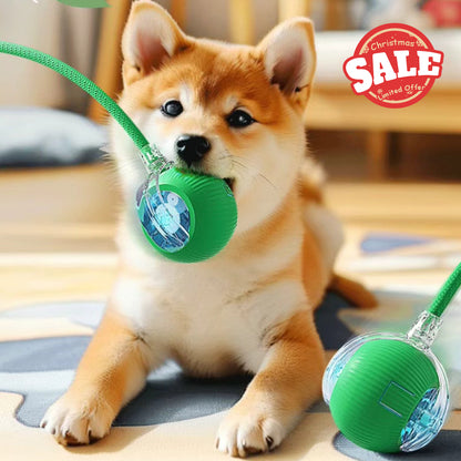 Interactive Rope Pet Ball