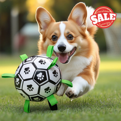 Dog Boredom Relief Soccer