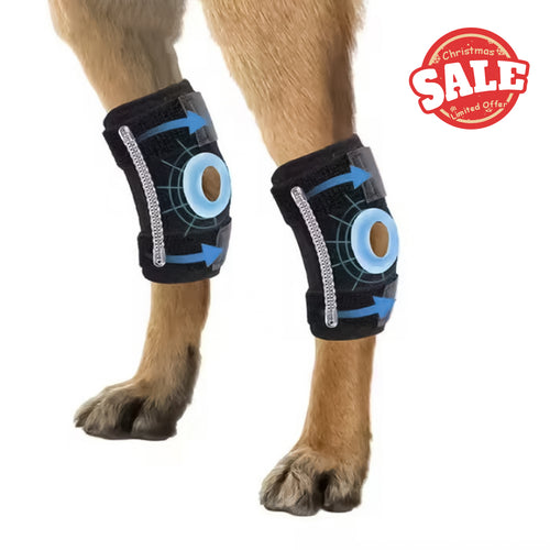 Black dog knee pads