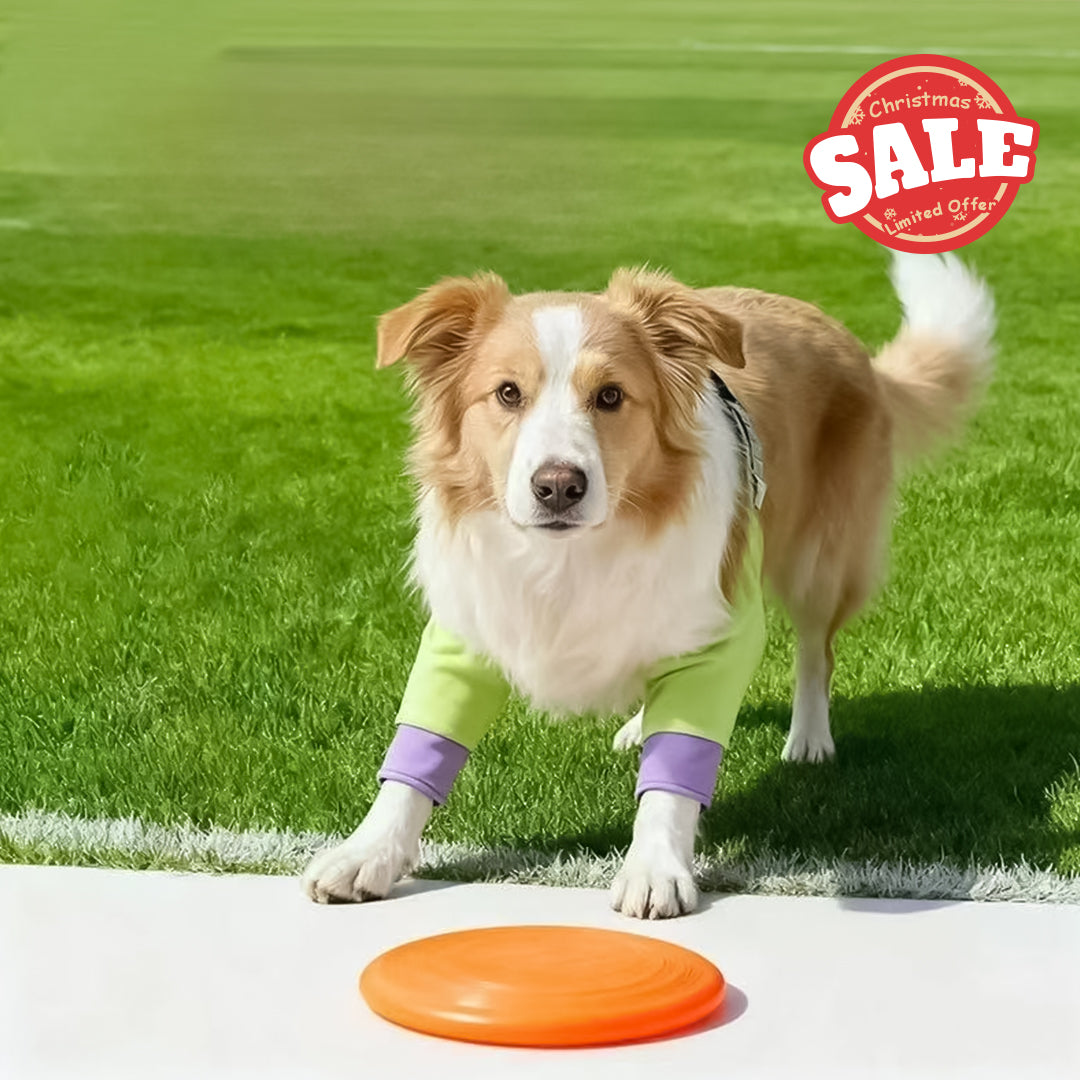 Purple-green dog knee pads