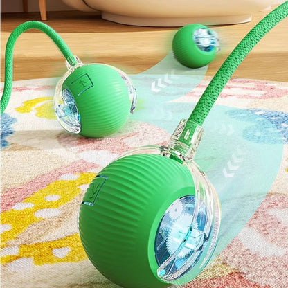 Interactive Rope Pet Ball