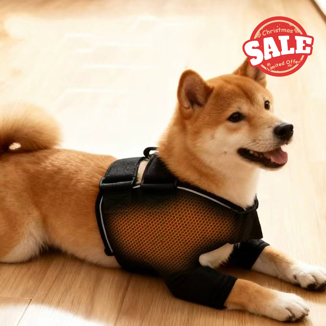 Dog shoulder protection gear