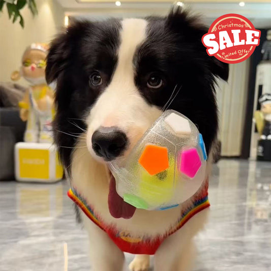 Dog interactive football toys