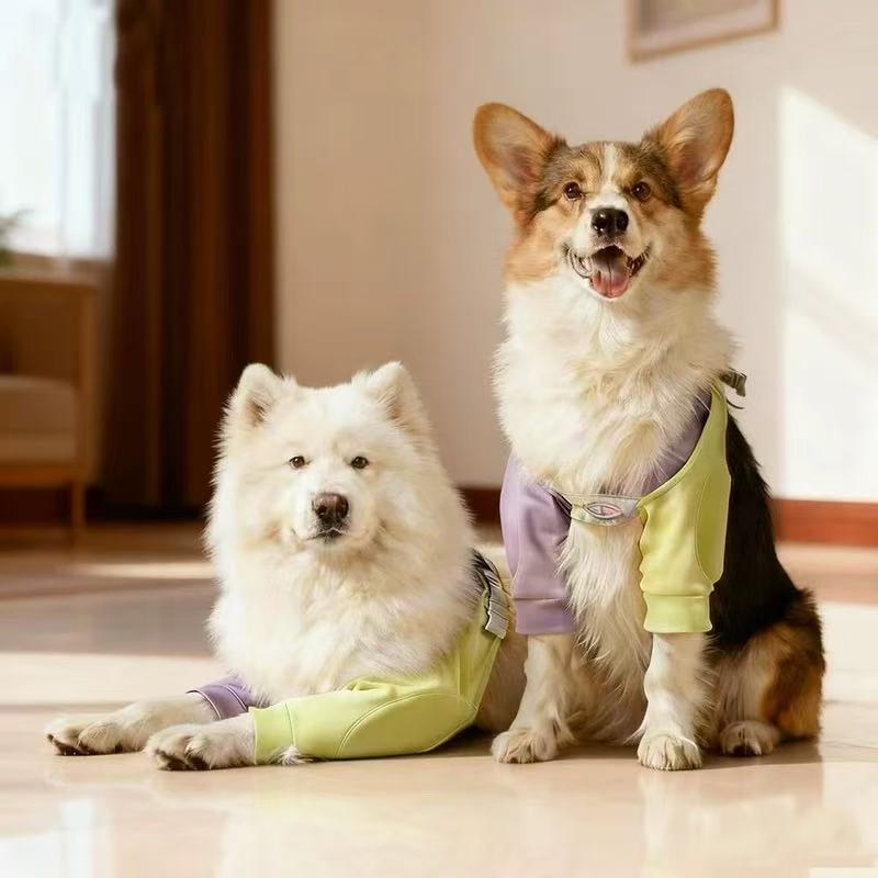 Purple-green dog knee pads