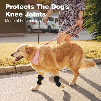 Black dog knee pads