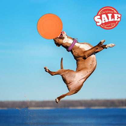 Orange Pet Outdoor Chew Frisbee