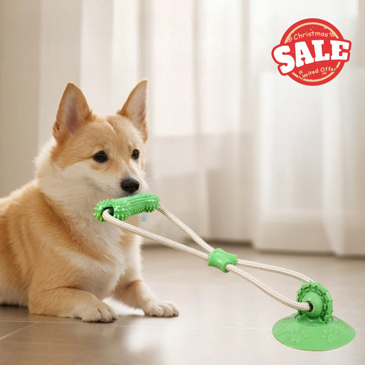 Suction Cup Treat Dog Toy