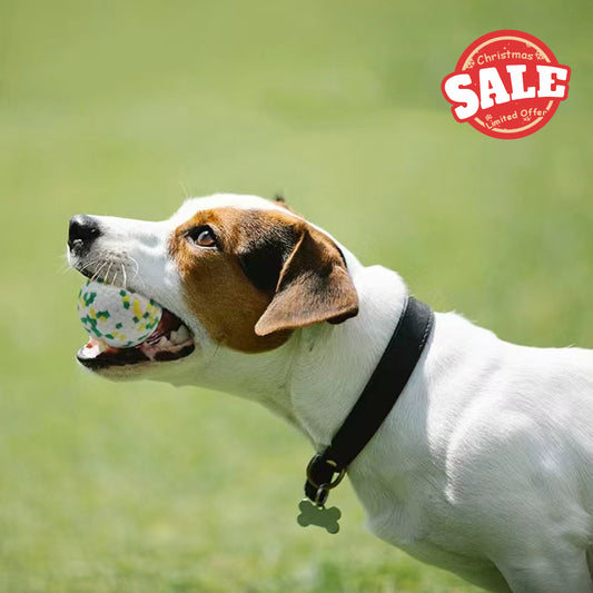 ETPU Popcorn Dog Ball