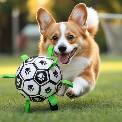 Dog Boredom Relief Soccer