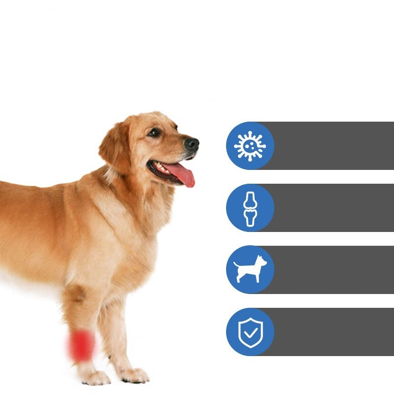 Single-piece canine joint protection gear