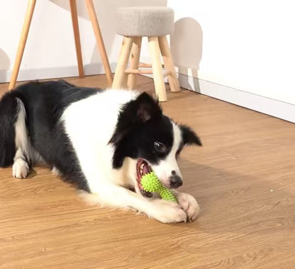 Green Spike Bone Toy